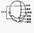 陽光穴|醫砭 » 經穴庫 » 承光